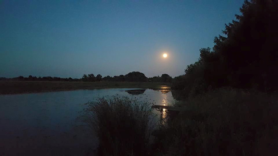 Volmond